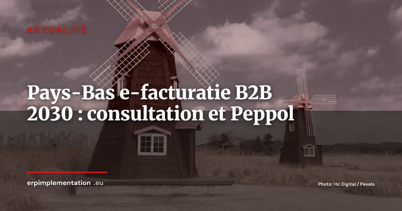 Pays-Bas e-facturatie B2B 2030 : consultation ouverte, réseau Peppol ou EBW décidé en octobre
