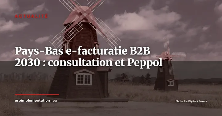 Pays-Bas e-facturatie B2B 2030 : consultation ouverte, réseau Peppol ou EBW décidé en octobre — Actualité