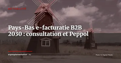 Pays-Bas e-facturatie B2B 2030 : consultation ouverte, réseau Peppol ou EBW décidé en octobre