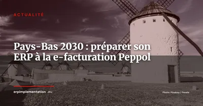 Pays-Bas 2030 : préparer son ERP à la e-facturation B2B -- les 3 leçons du déploiement belge