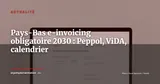 Pays-Bas : la facturation électronique B2B obligatoire via Peppol dès 2030 — Actualité