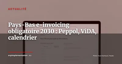 Pays-Bas : la facturation électronique B2B obligatoire via Peppol dès 2030