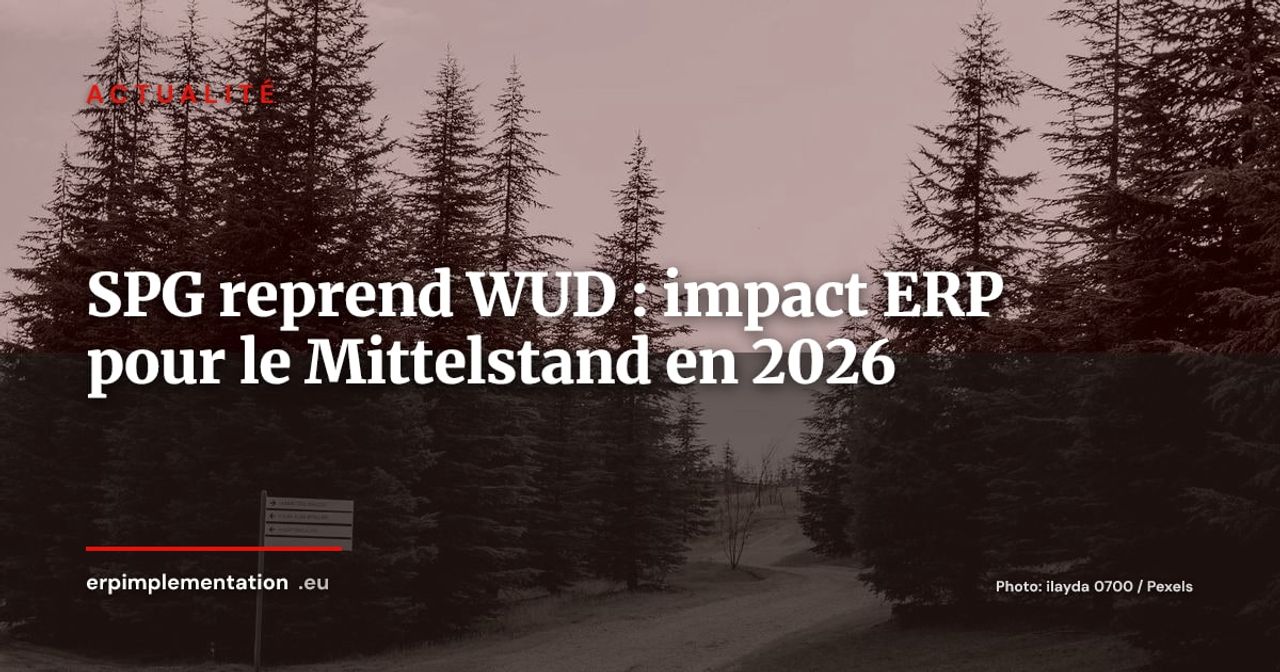 SPG reprend des activités de WUD : quel impact ERP pour le Mittelstand ?