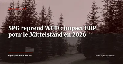 SPG reprend des activités de WUD : quel impact ERP pour le Mittelstand ?