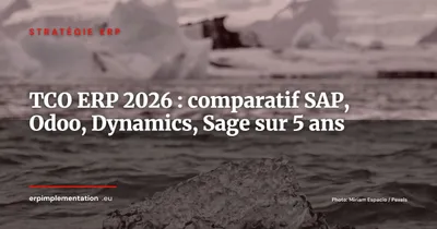 TCO réel d'un ERP en 2026 : méthode complète pour comparer SAP, Odoo, Microsoft et Sage sur 5 ans