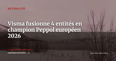 Visma réunit Inexchange, Maventa, mySupply et efacto : un champion Peppol européen au 1er octobre 2026