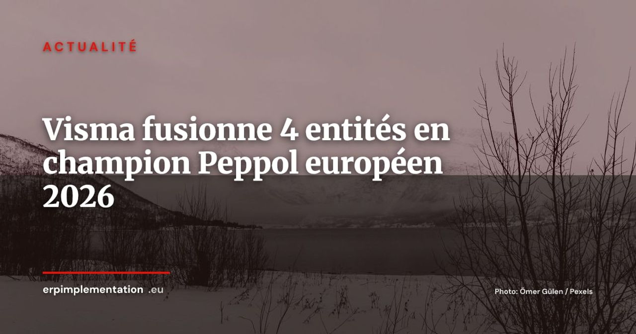 Visma réunit Inexchange, Maventa, mySupply et efacto : un champion Peppol européen au 1er octobre 2026