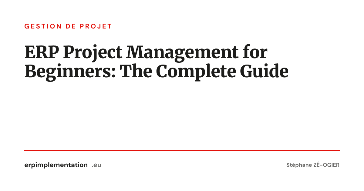 ERP Project Management for Beginners: The Complete Guide